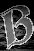 Wall_Art_Alphabet_Photography_Art_ 281